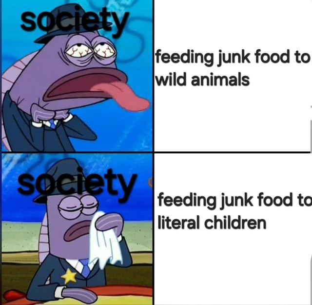 society feeding junk food to wild animals society feeding junk food to literal children