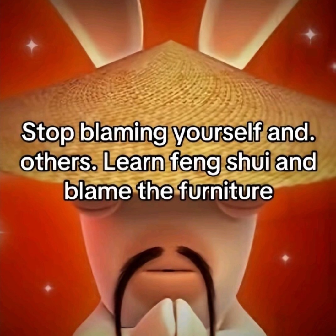 Stop blaming yourself and others. Learn feng shui and blame the furniture