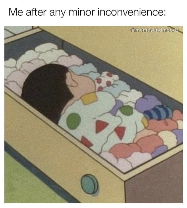 Me after any minor inconvenience: @memesandmoodz