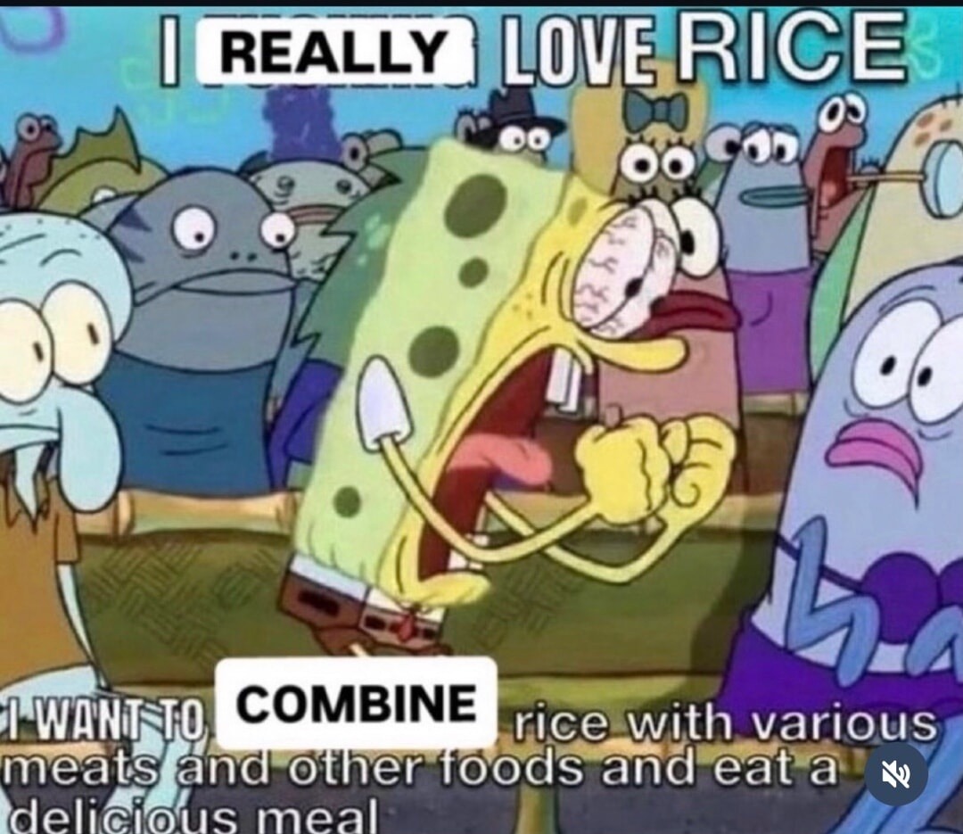 I REALLY LOVE RICE I WANT TO COMBINE rice with various meats and other foods and eat a delicious meal