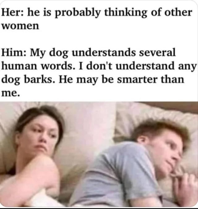 Her: he is probably thinking of other women
Him: My dog understands several human words. I don't understand any dog barks. He may be smarter than me.