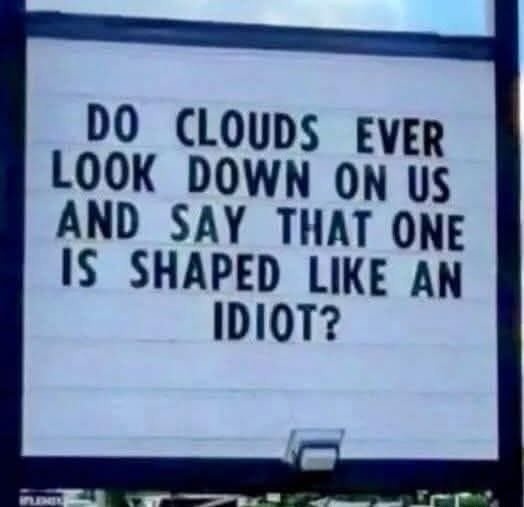 DO CLOUDS EVER LOOK DOWN ON US AND SAY THAT ONE IS SHAPED LIKE AN IDIOT?