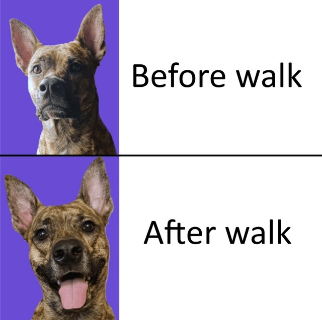 Before walk After walk