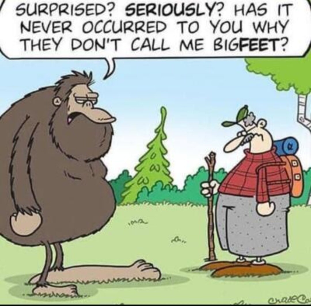 SURPRISED? SERIOUSLY? HAS IT NEVER OCCURRED TO YOU WHY THEY DON'T CALL ME BIGFEET?