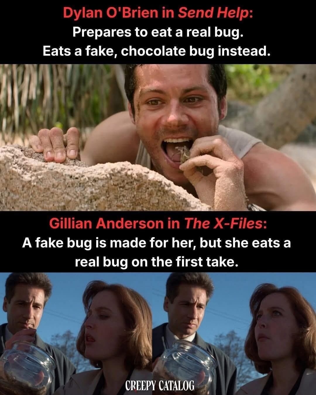 Dylan O'Brien in Send Help: Prepares to eat a real bug. Eats a fake, chocolate bug instead. Gillian Anderson in The X-Files: A fake bug is made for her, but she eats a real bug on the first take. CREEPY CATALOG