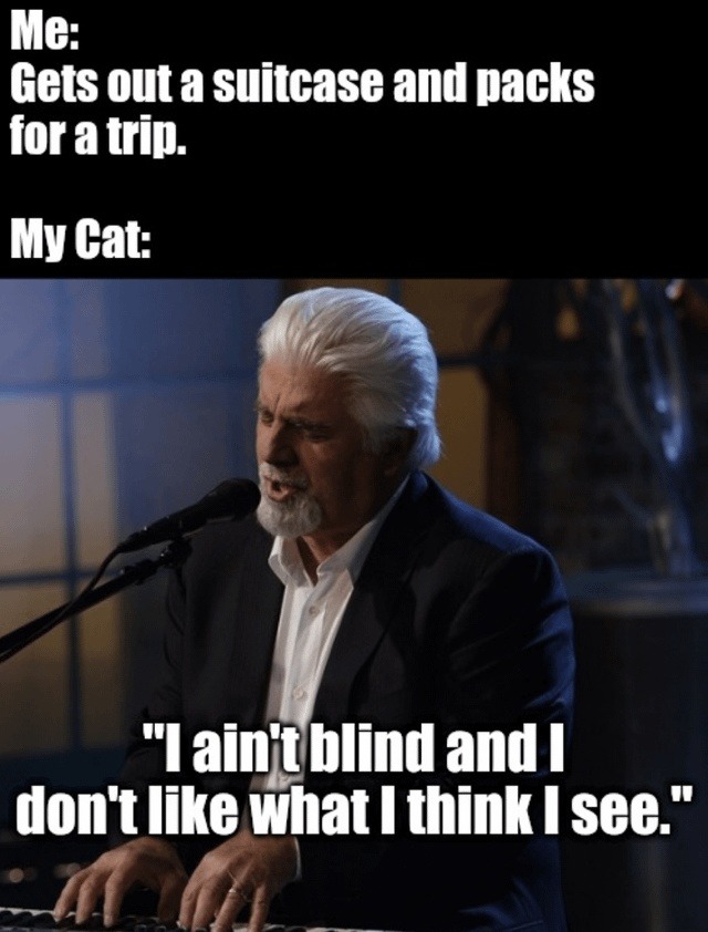 Me: Gets out a suitcase and packs for a trip. My Cat: 