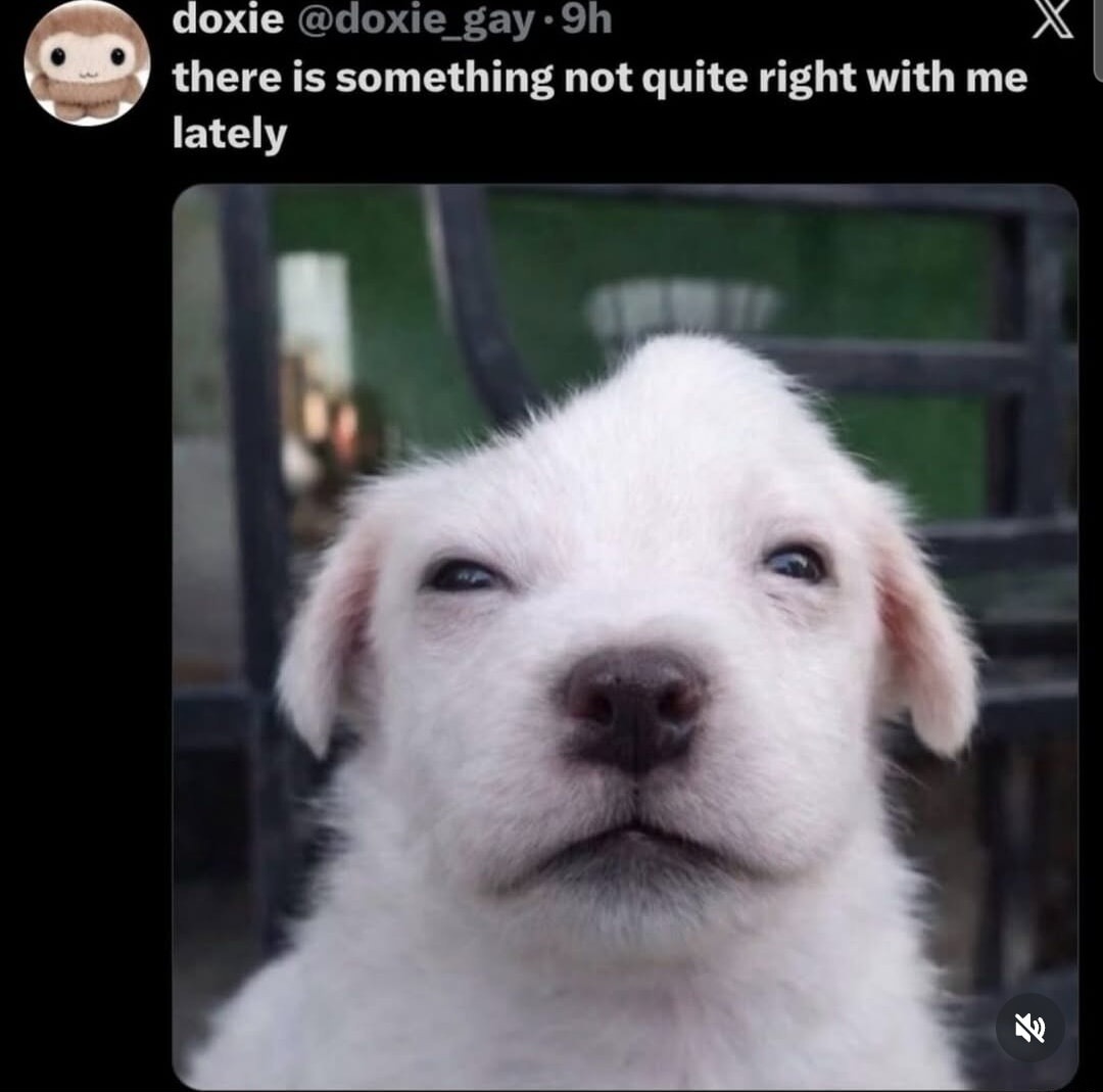 there is something not quite right with me lately