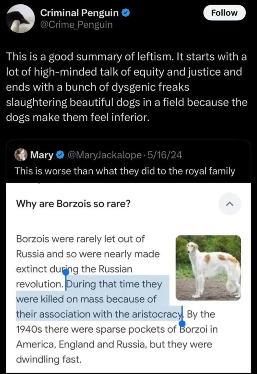 Criminal Penguin @Crime_Penguin Follow This is a good summary of leftism. It starts with a lot of high-minded talk of equity and justice and ends with a bunch of dysgenic freaks slaughtering beautiful dogs in a field because the dogs make them feel inferior. Mary @MaryJackalope 5/16/24 This is worse than what they did to the royal family Why are Bo