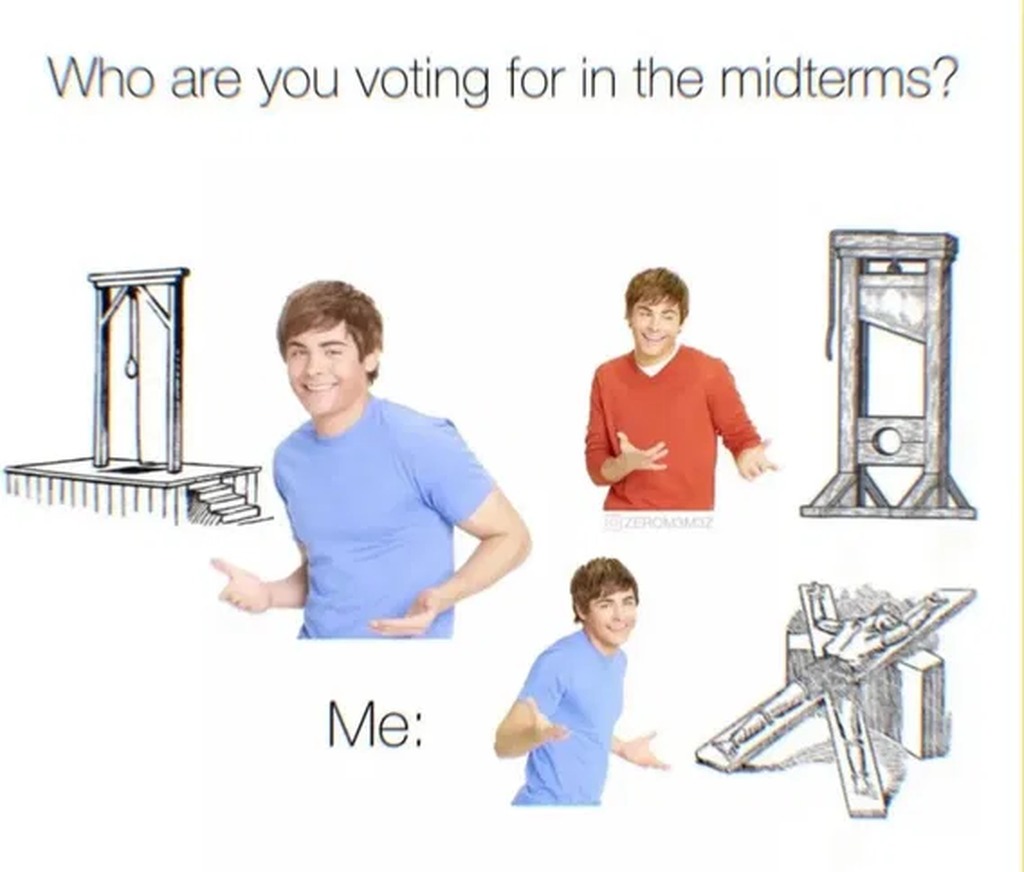 Who are you voting for in the midterms? Me: