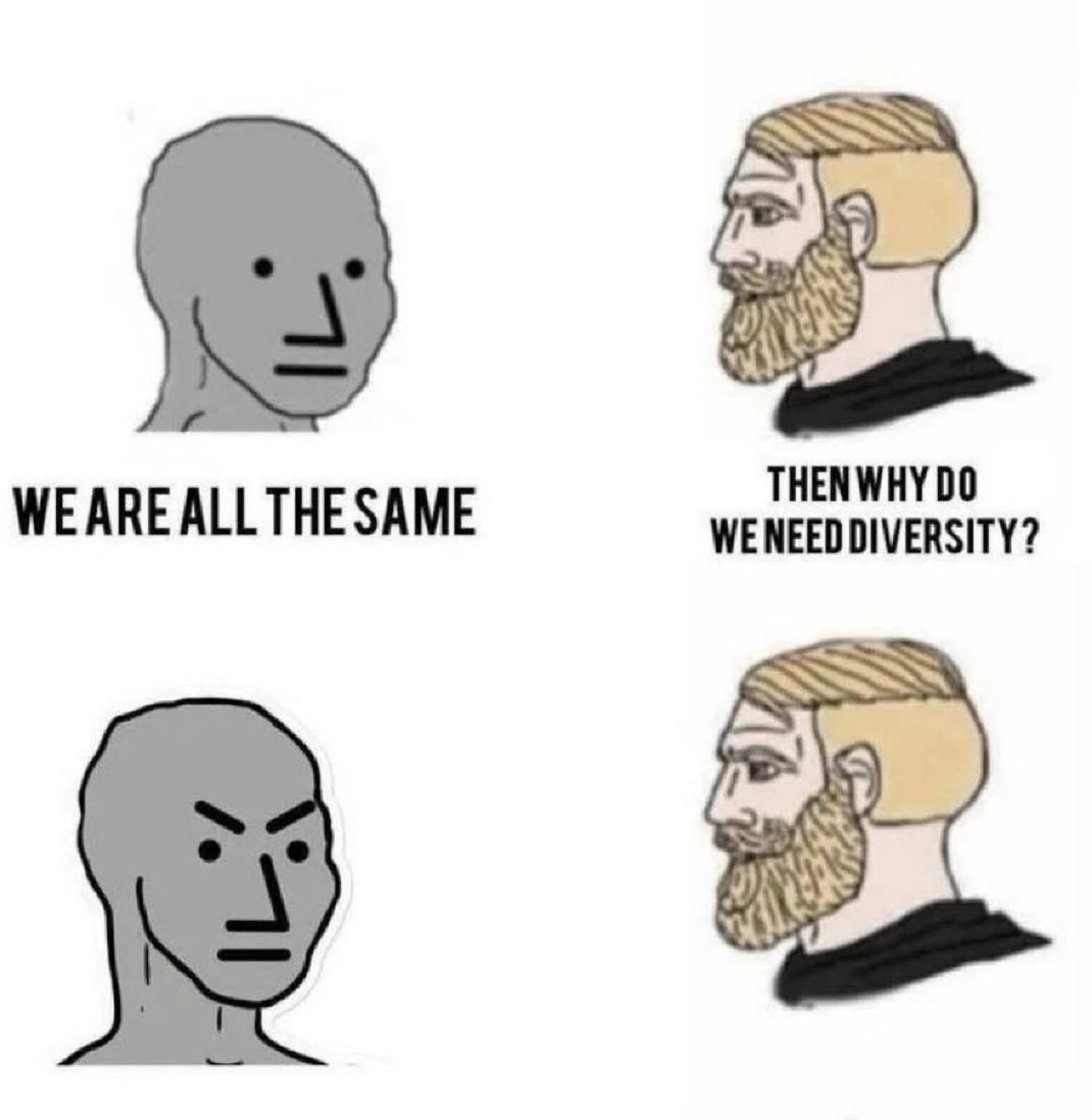WE ARE ALL THE SAME THEN WHY DO WE NEED DIVERSITY?