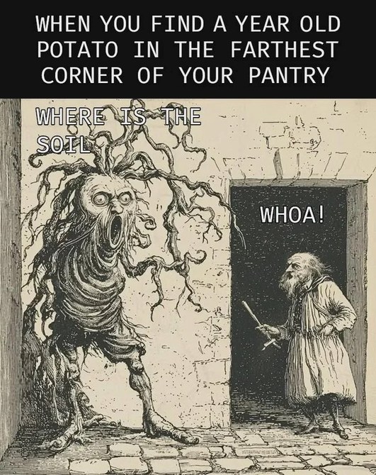 WHEN YOU FIND A YEAR OLD POTATO IN THE FARTHEST CORNER OF YOUR PANTRY WHERE IS THE SOIL WHOA!