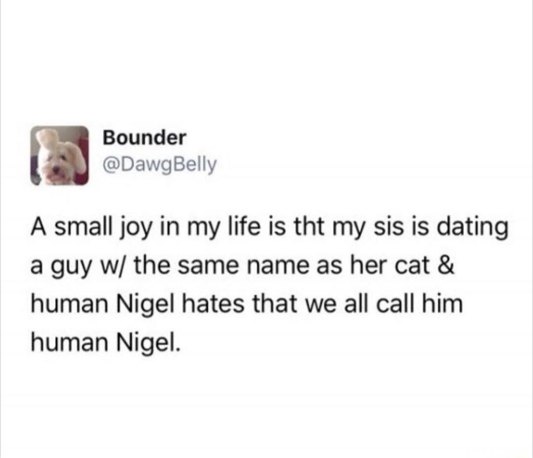 A small joy in my life is that my sister is dating a guy with the same name as her cat, and human Nigel hates that we all call him human Nigel.