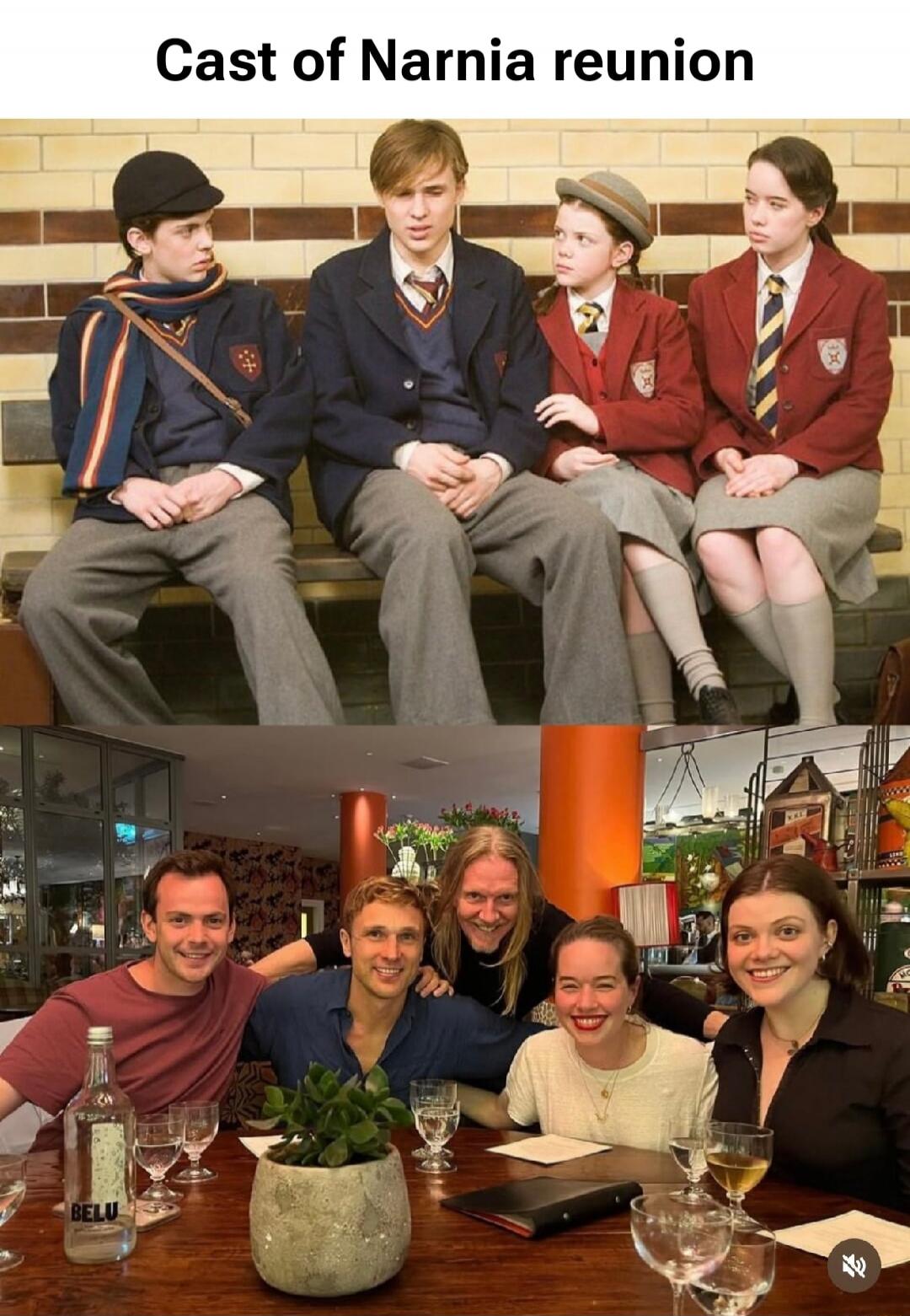 Cast of Narnia reunion