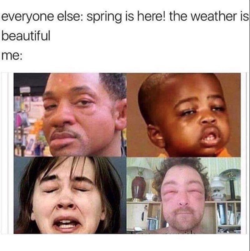 Everyone else: spring is here! the weather is beautiful me: