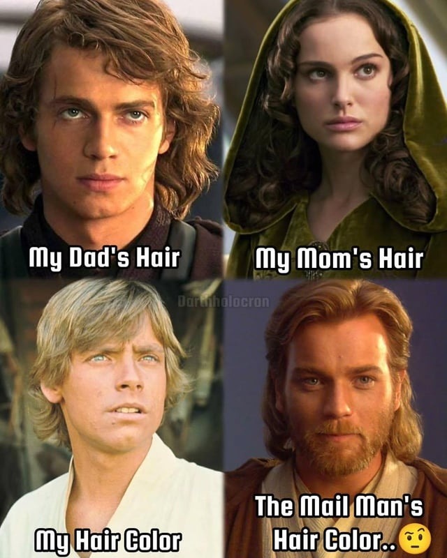 My Dad's Hair My Mom's Hair My Hair Color The Mail Man's Hair Color.. 🤔 Darthholocron