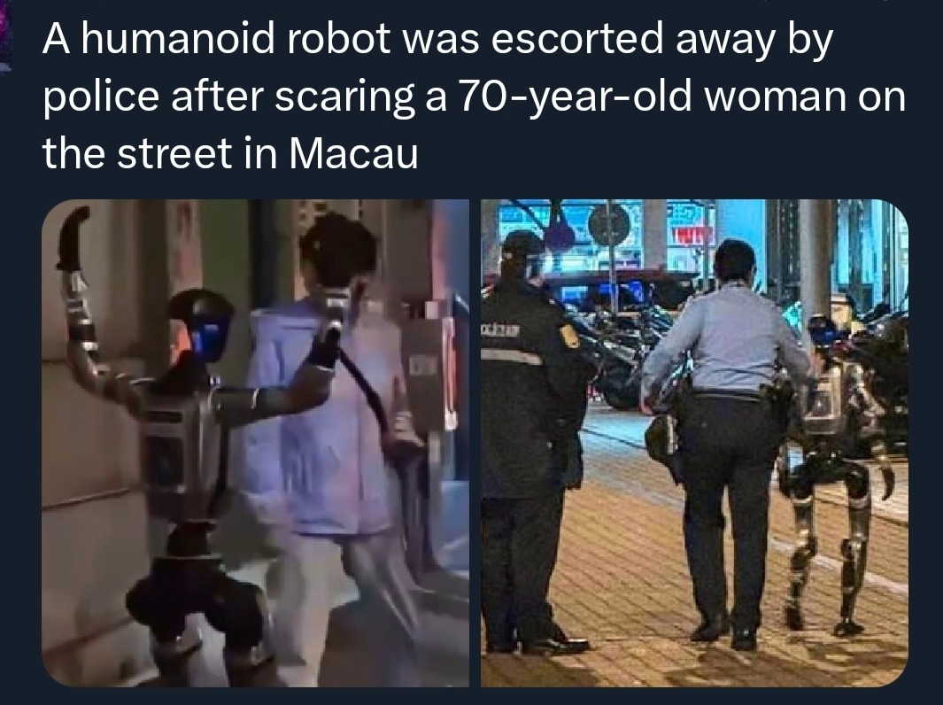 A humanoid robot was escorted away by police after scaring a 70-year-old woman on the street in Macau