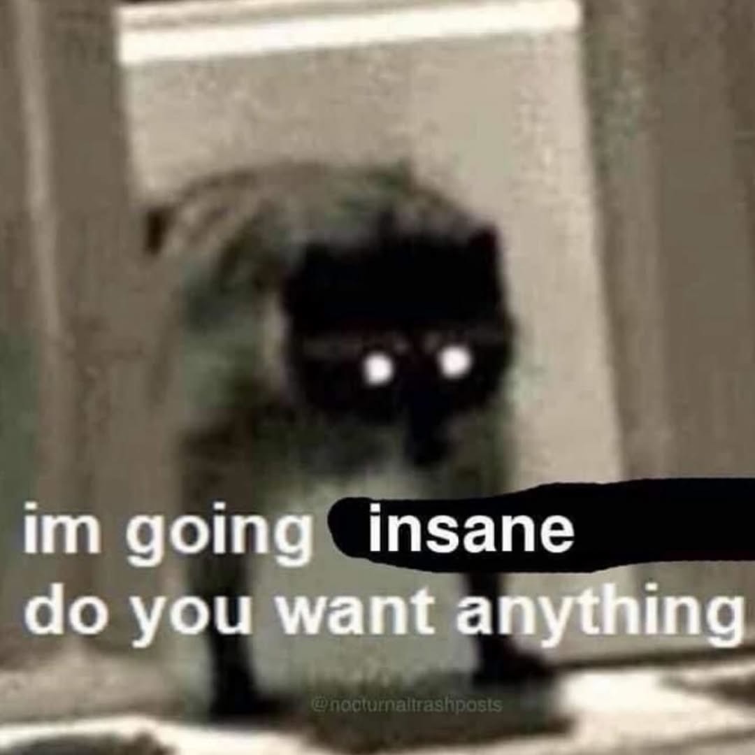 im going insane do you want anything
