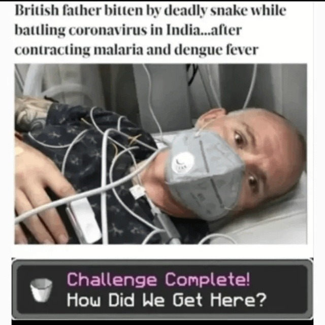 British father bitten by deadly snake while battling coronavirus in India...after contracting malaria and dengue fever. Challenge Complete! How Did We Get Here?