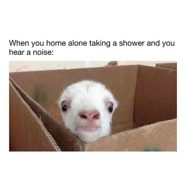 When you home alone taking a shower and you hear a noise: