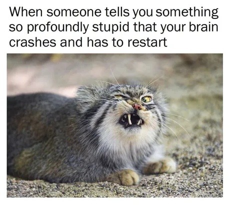 When someone tells you something so profoundly stupid that your brain crashes and has to restart