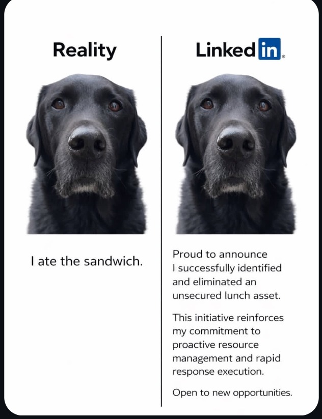 Reality I ate the sandwich. LinkedIn Proud to announce I successfully identified and eliminated an unsecured lunch asset. This initiative reinforces my commitment to proactive resource management and rapid response execution. Open to new opportunities.