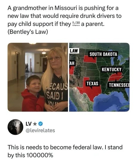 A grandmother in Missouri is pushing for a new law that would require drunk drivers to pay child support if they kill a parent. (Bentley's Law) This is needs to become federal law. I stand by this 1000000%. States with this law: South Dakota, Kentucky, Texas, Tennessee. Text on shirt: Because I said I would.