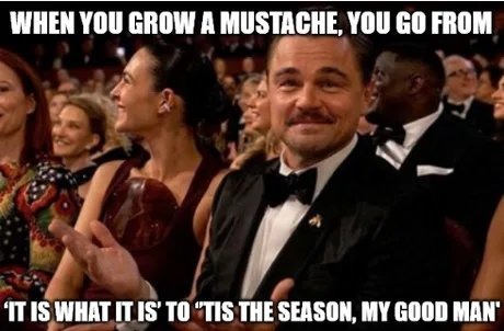 WHEN YOU GROW A MUSTACHE, YOU GO FROM 'IT IS WHAT IT IS' TO 'TIS THE SEASON, MY GOOD MAN'