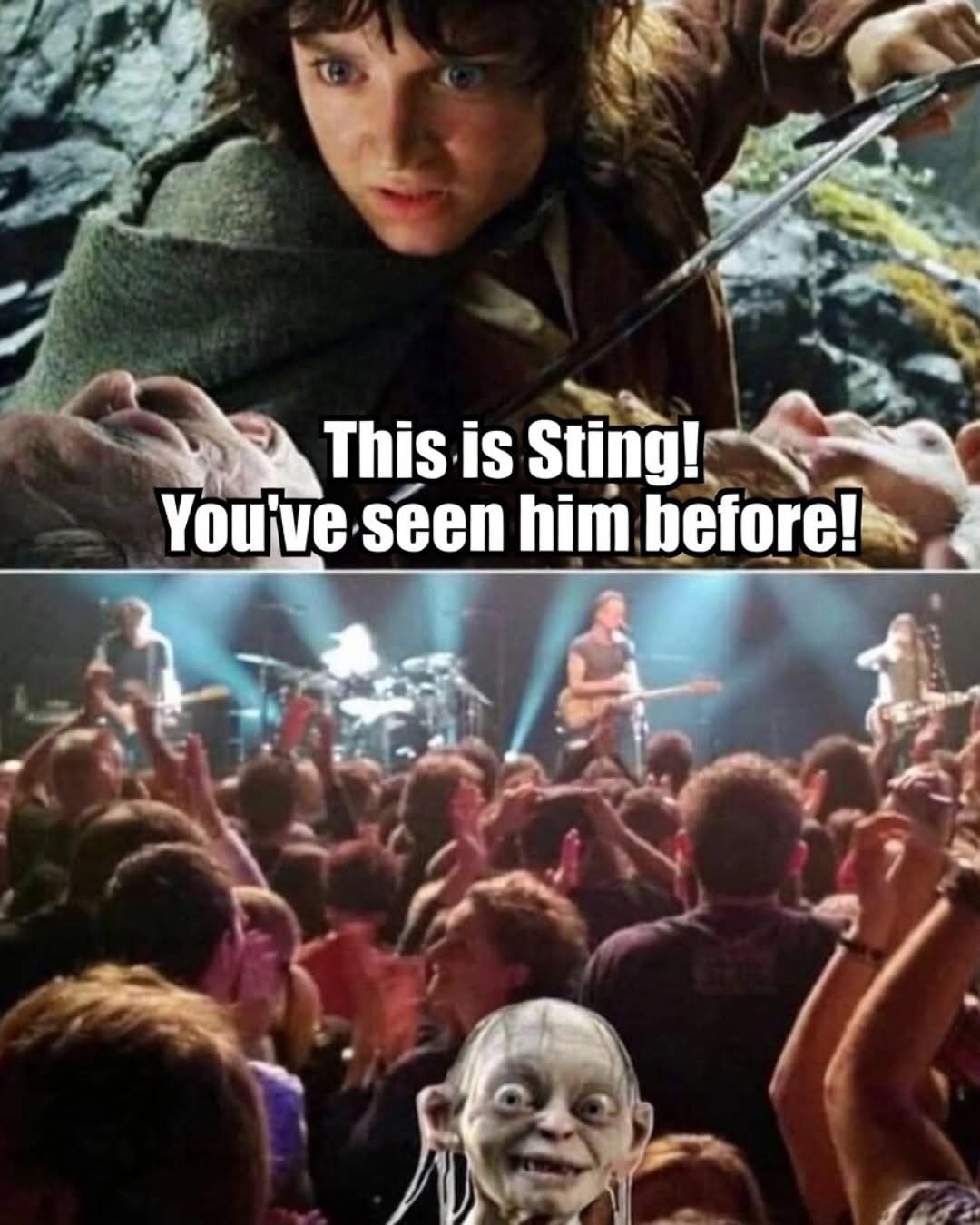 This is Sting! You've seen him before!