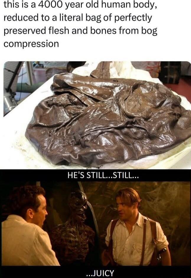 this is a 4000 year old human body, reduced to a literal bag of perfectly preserved flesh and bones from bog compression HE'S STILL...STILL... ...JUICY