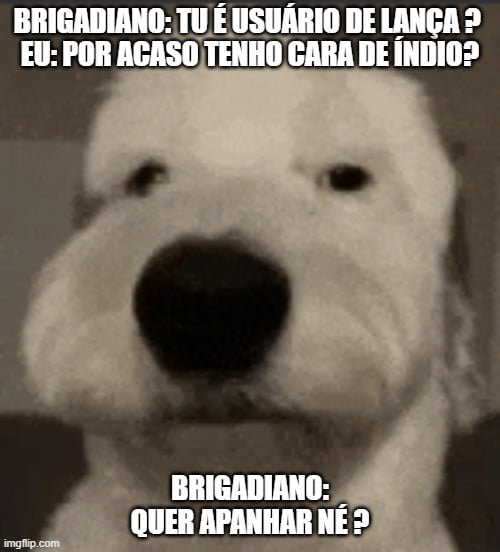 BRIGADIANO: TU É USUÁRIO DE LANÇA ? EU: POR ACASO TENHO CARA DE ÍNDIO? BRIGADIANO: QUER APANHAR NÉ ?