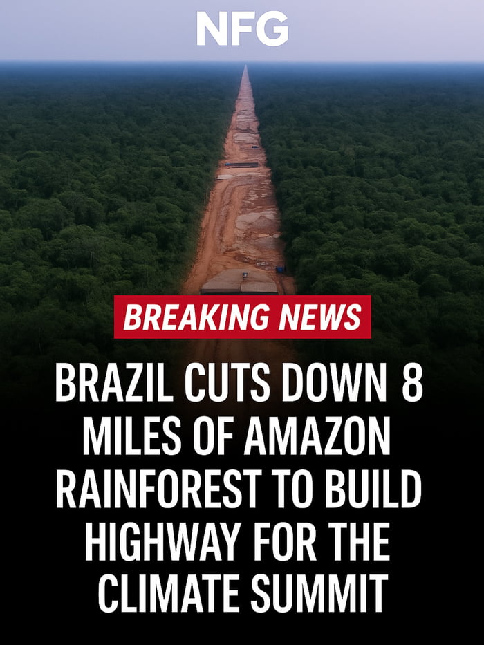 NFG. Notícias de última hora. O Brasil derruba 8 milhas da floresta amazónica para construir uma autoestrada para a Cimeira do Clima.