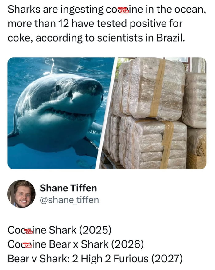 Sharks are ingesting cocaine in the ocean, more than 12 have tested positive for coke, according to scientists in Brazil. Shane Tiffen @shane_tiffen. Cocaine Shark (2025). Cocaine Bear x Shark (2026). Bear v Shark: 2 High 2 Furious (2027).