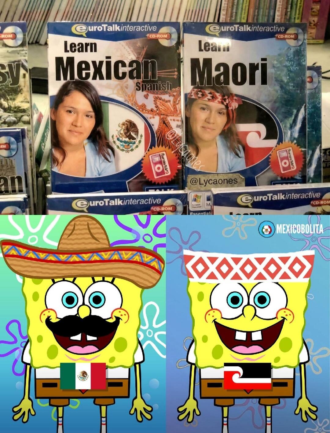 Learn Mexican Spanish Learn Maori euroTalkinteractive CD-ROM @Lycaones MEXICOBOLITA. The image shows two language learning CD-ROMs, one titled 'Learn Mexican Spanish' and the other 'Learn Maori'. Below them are two SpongeBob SquarePants characters. The left SpongeBob is dressed in a sombrero and mustache with a Mexican flag, representing 'Mexican'.