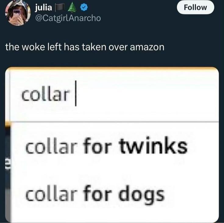 julia @CatgirlAnarcho Follow the woke left has taken over amazon collar collar for twinks collar for dogs