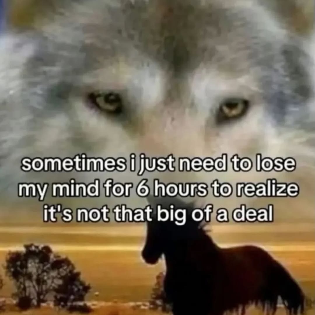 sometimes i just need to lose my mind for 6 hours to realize it's not that big of a deal