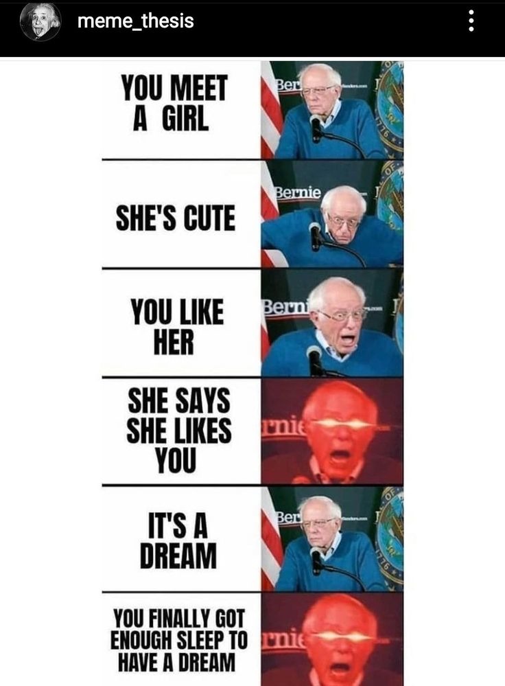 YOU MEET A GIRL. SHE'S CUTE. YOU LIKE HER. SHE SAYS SHE LIKES YOU. IT'S A DREAM. YOU FINALLY GOT ENOUGH SLEEP TO HAVE A DREAM.