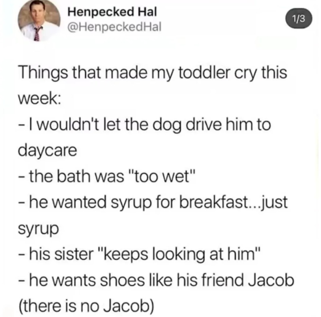 Henpecked Hal @HenpeckedHal Things that made my toddler cry this week: - I wouldn't let the dog drive him to daycare - the bath was 