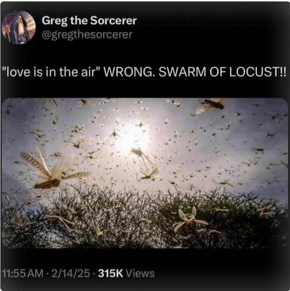 Greg the Sorcerer @gregthesorcerer 