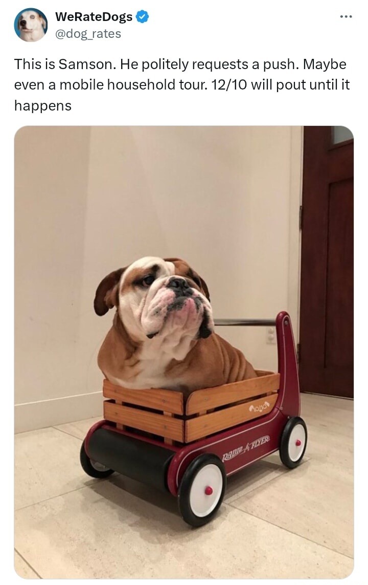 WeRateDogs @dog_rates This is Samson. He politely requests a push. Maybe even a mobile household tour. 12/10 will pout until it happens Radio Flyer