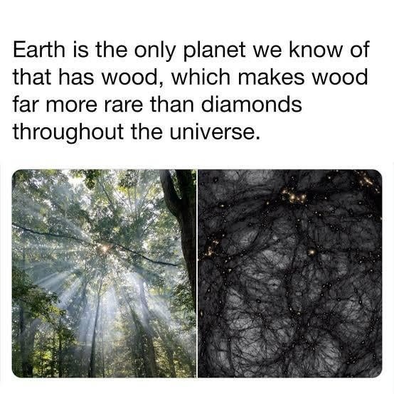 Earth is the only planet we know of that has wood, which makes wood far more rare than diamonds throughout the universe.