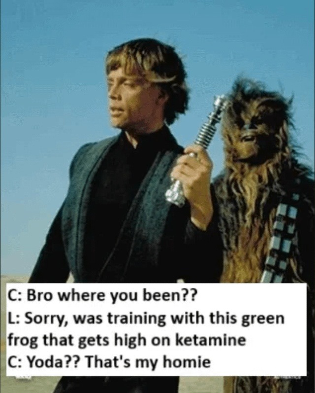 C: Bro where you been?? L: Sorry, was training with this green frog that gets high on ketamine C: Yoda?? That's my homie
