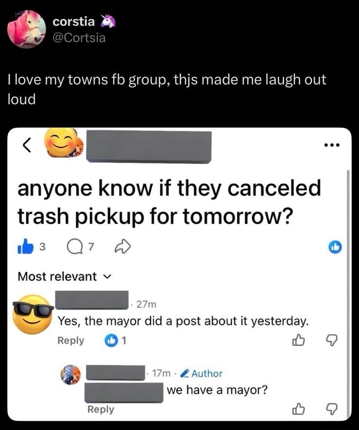 I love my town's fb group, this made me laugh out loud. Anyone know if they canceled trash pickup for tomorrow? Yes, the mayor did a post about it yesterday. We have a mayor?