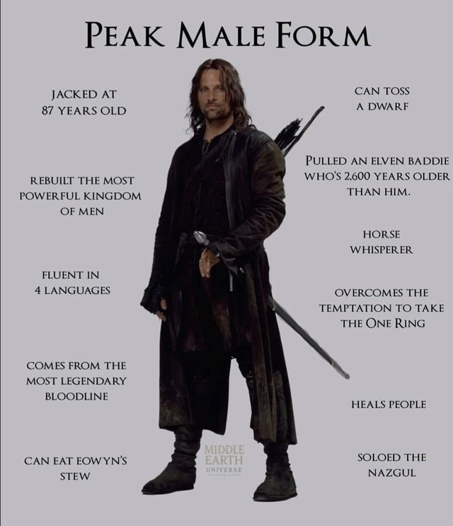 PEAK MALE FORM JACKED AT 87 YEARS OLD REBUILT THE MOST POWERFUL KINGDOM OF MEN FLUENT IN 4 LANGUAGES COMES FROM THE MOST LEGENDARY BLOODLINE CAN EAT EOWYN'S STEW CAN TOSS A DWARF PULLED AN ELVEN BADDIE WHO'S 2,600 YEARS OLDER THAN HIM. HORSE WHISPERER OVERCOMES THE TEMPTATION TO TAKE THE ONE RING HEALS PEOPLE SOLOED THE NAZGUL MIDDLE EARTH UNIVERSE