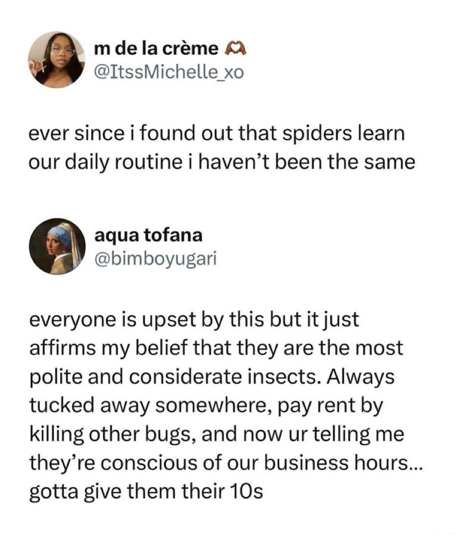 ever since i found out that spiders learn our daily routine i haven't been the same everyone is upset by this but it just affirms my belief that they are the most polite and considerate insects. Always tucked away somewhere, pay rent by killing other bugs, and now ur telling me they're conscious of our business hours... gotta give them their 10s