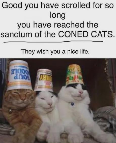 Good you have scrolled for so long you have reached the sanctum of the CONED CATS. They wish you a nice life.