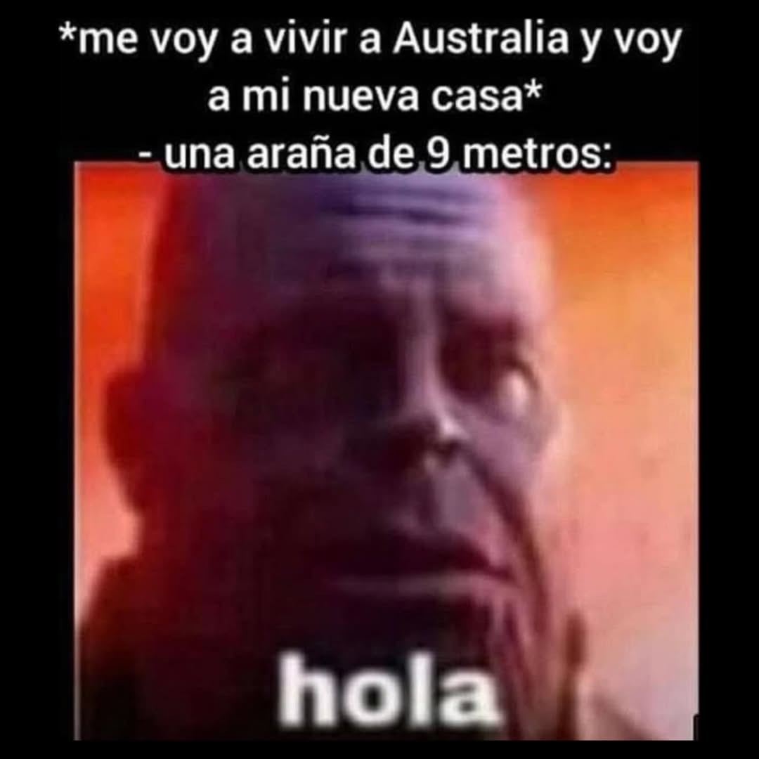 *me voy a vivir a Australia y voy a mi nueva casa* - una araña de 9 metros: hola