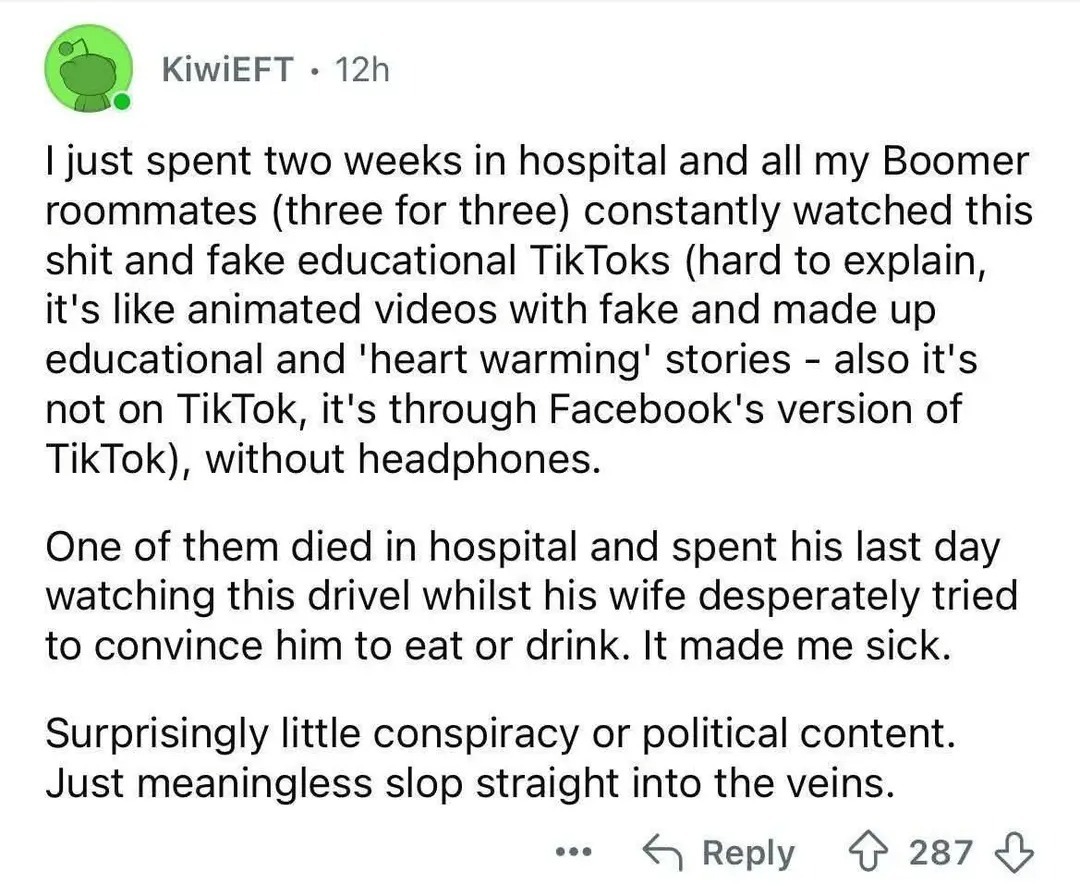 I just spent two weeks in hospital and all my Boomer roommates (three for three) constantly watched this shit and fake educational TikToks (hard to explain, it's like animated videos with fake and made up educational and 'heart warming' stories - also it's not on TikTok, it's through Facebook's version of TikTok), without headphones. One of them di