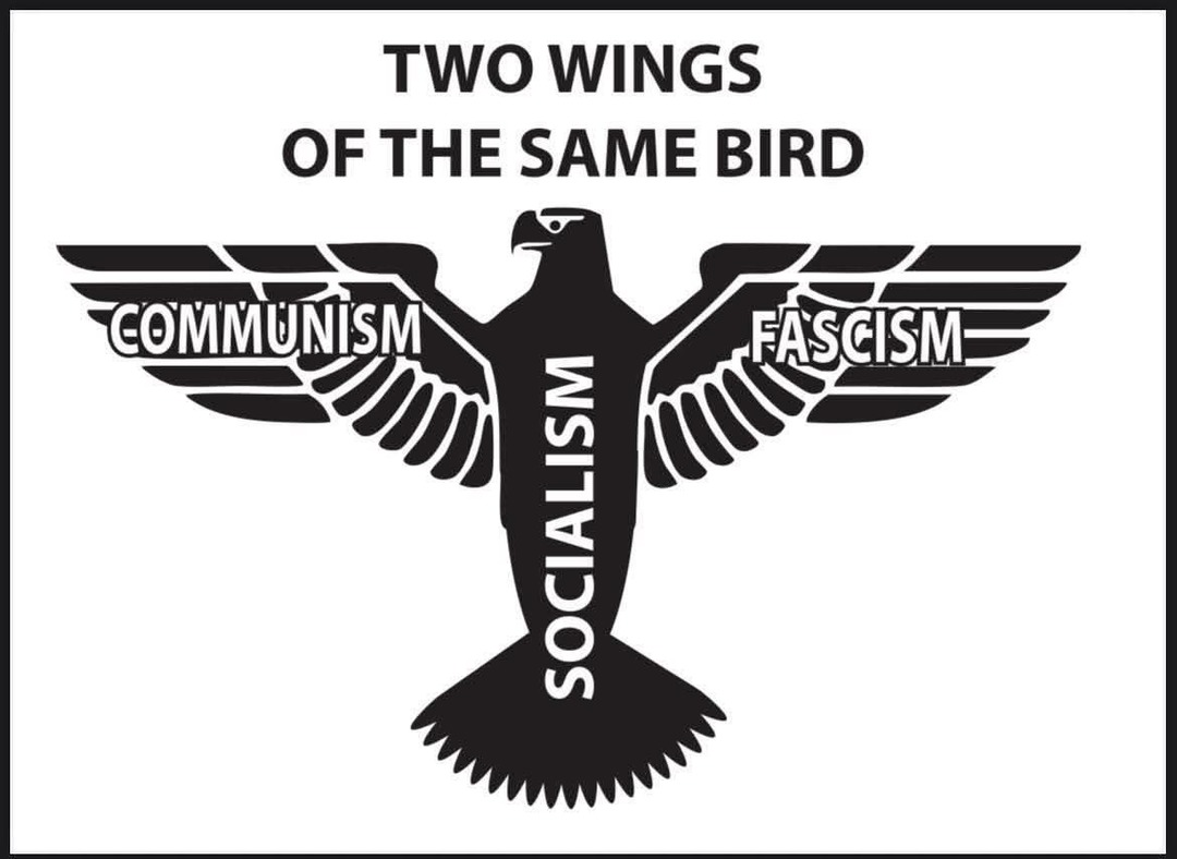TWO WINGS OF THE SAME BIRD COMMUNISM FASCISM SOCIALISM