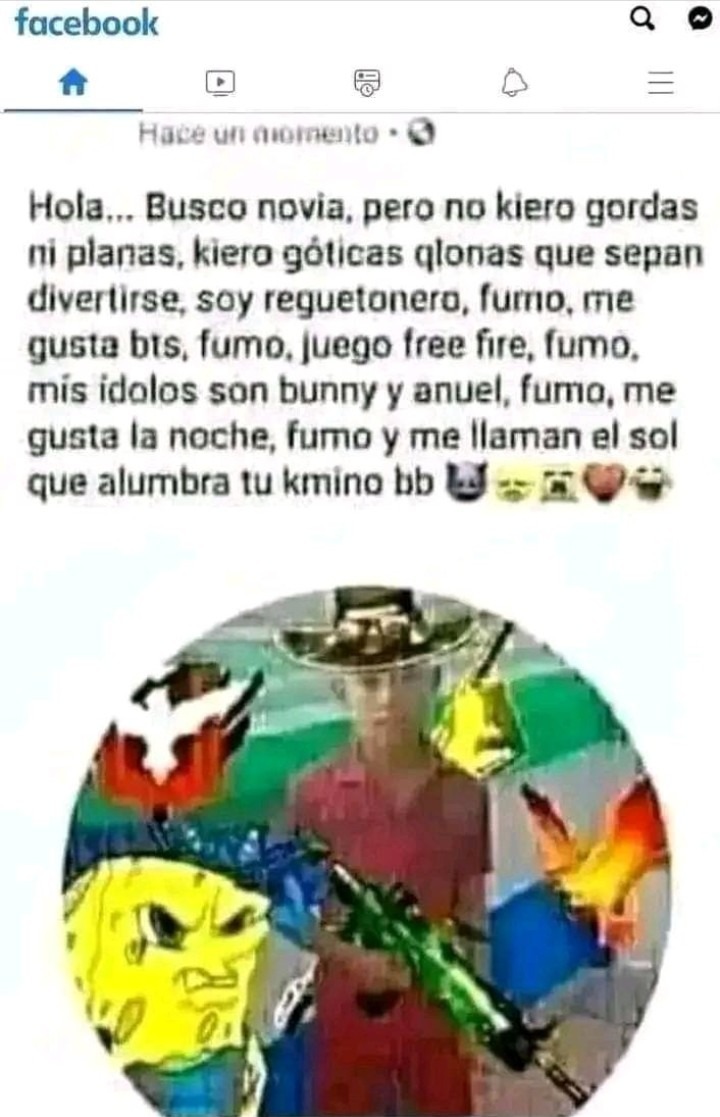 Hola... Busco novia, pero no kiero gordas ni planas, kiero góticas qlonas que sepan divertirse, soy reguetonero, fumo, me gusta bts, fumo, juego free fire, fumo, mis idolos son bunny y anuel, fumo, me gusta la noche, fumo y me llaman el sol que alumbra tu kmino bb