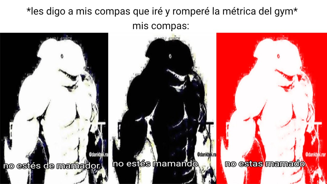 *les digo a mis compas que iré y romperé la métrica del gym* mis compas: no estés de mamador no estés mamando no estas mamado